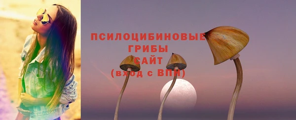бутират Бородино