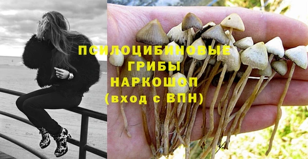 бутират Бородино