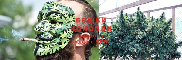 прущие крисы Бугульма