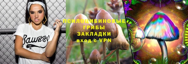 прущие крисы Бугульма