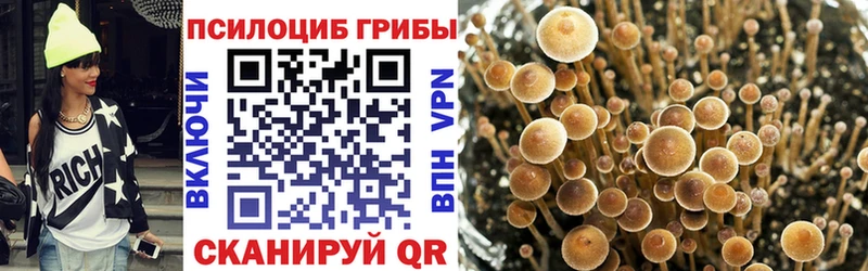 Псилоцибиновые грибы прущие грибы  Бугульма 